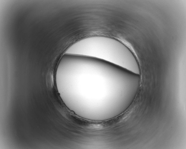 X0000089680061200706210822