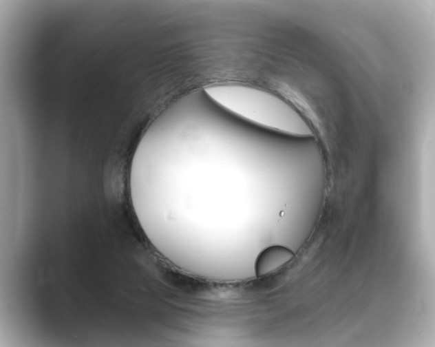 X0000089680065200706210822