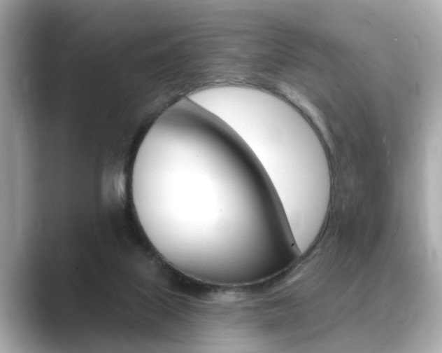 X0000089680067200706210822