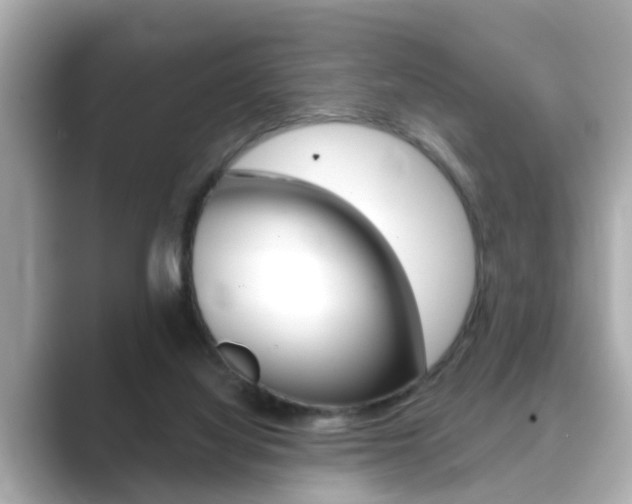 X0000089680068200706210822
