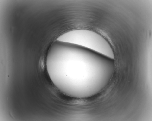 X0000089680069200706210822
