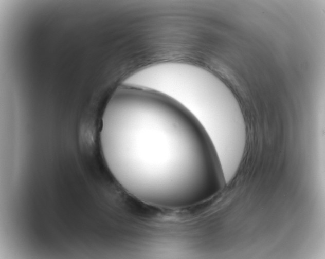X0000089680072200706210822