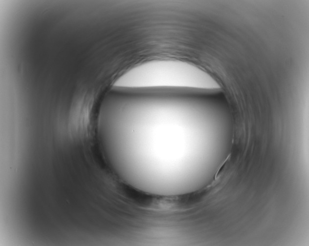 X0000089680078200706210822