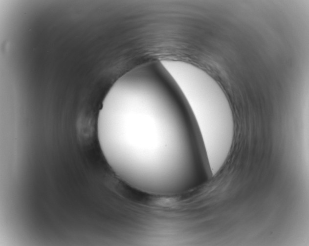 X0000089680081200706210822