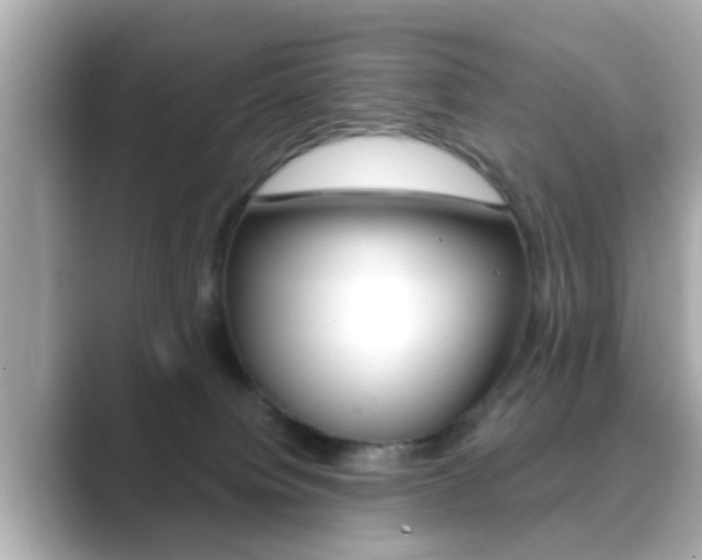 X0000089680084200706210822