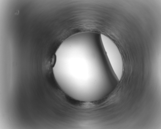 X0000089680087200706210822
