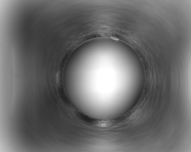 X0000089680088200706210822
