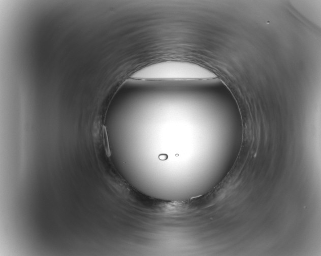 X0000089680092200706210823