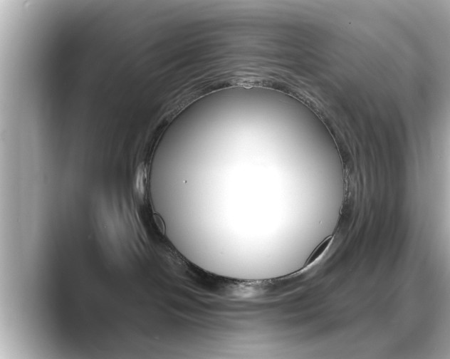 X0000089680094200706210823