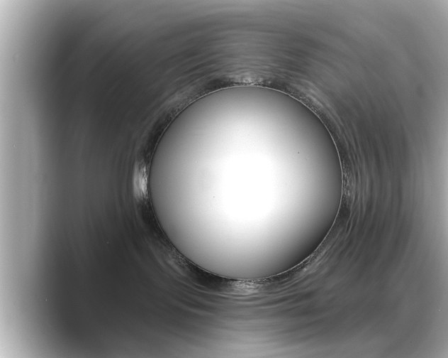 X0000089680095200706210823