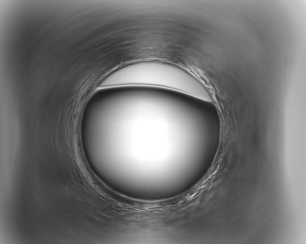 X0000089680097200706210822