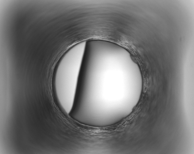 X0000089680098200706210822
