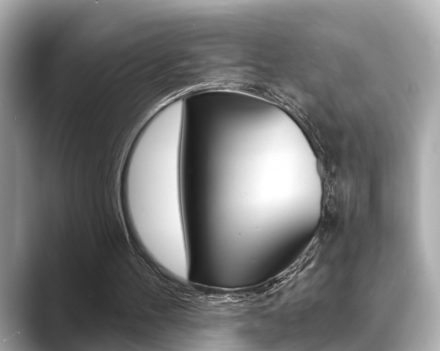 X0000089680100200706210822