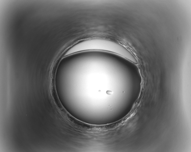 X0000089680101200706210822