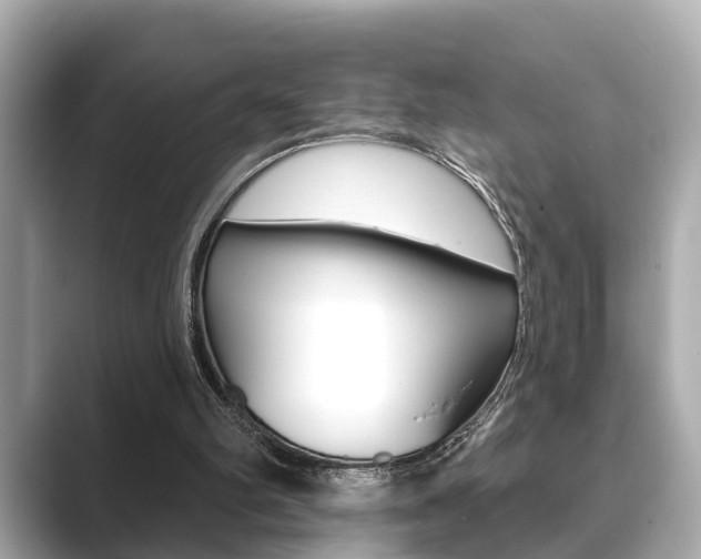 X0000089680102200706210822
