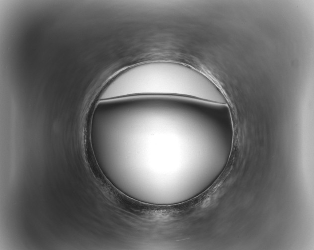 X0000089680103200706210822
