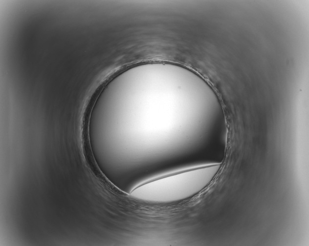 X0000089680104200706210822