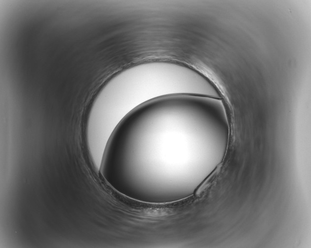X0000089680105200706210822