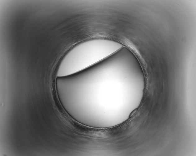 X0000089680106200706210822