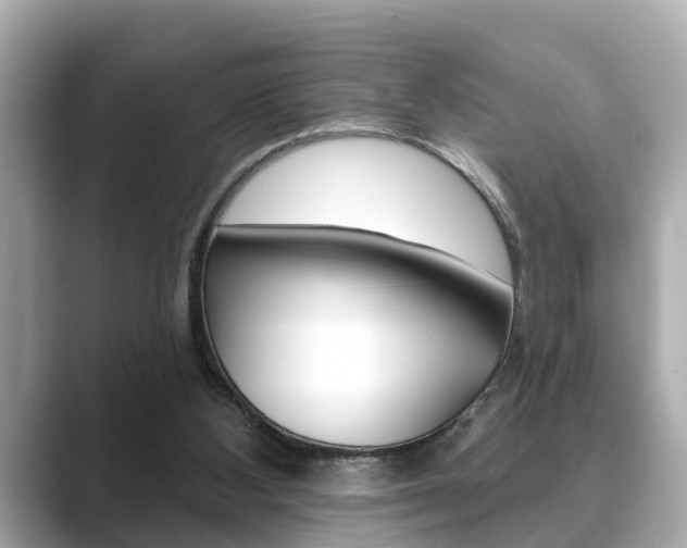 X0000089680108200706210822