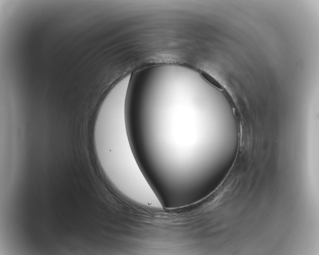 X0000089680109200706210822