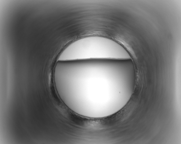 X0000089680110200706210822