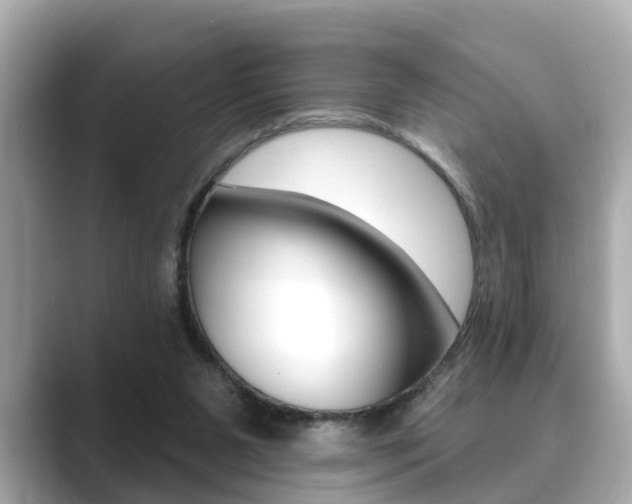 X0000089680111200706210822