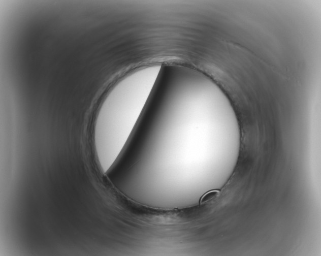 X0000089680112200706210822