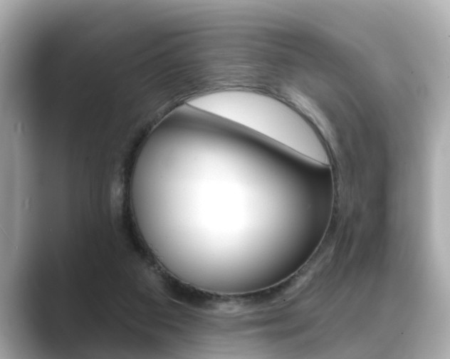 X0000089680113200706210822