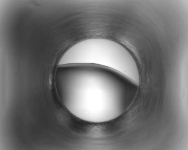 X0000089680115200706210822