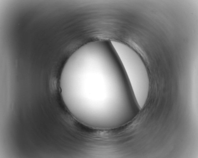 X0000089680117200706210822