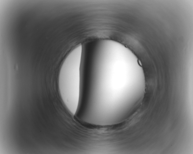 X0000089680120200706210822