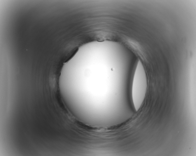 X0000089680121200706210822