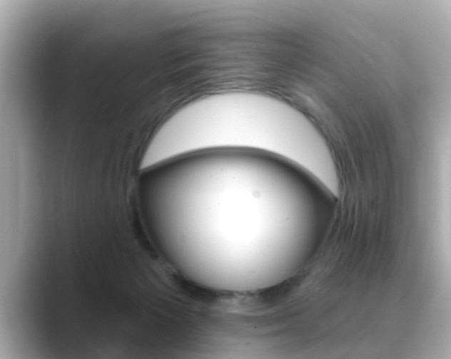X0000089680125200706210822