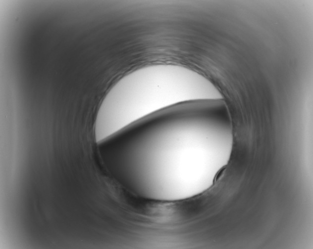 X0000089680132200706210821