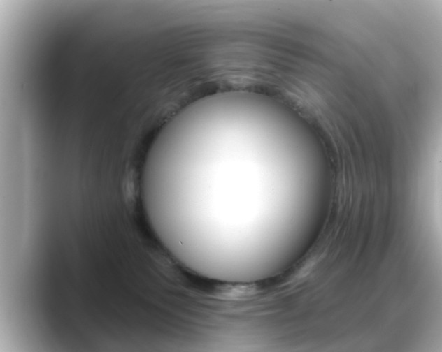 X0000089680135200706210821