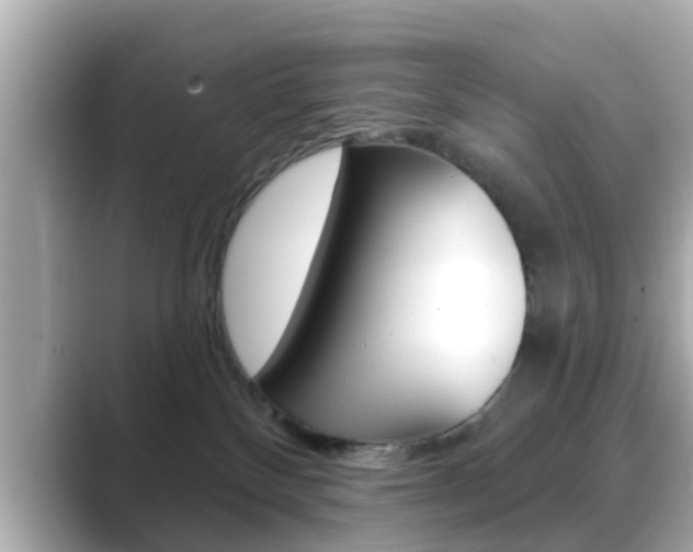 X0000089680136200706210821
