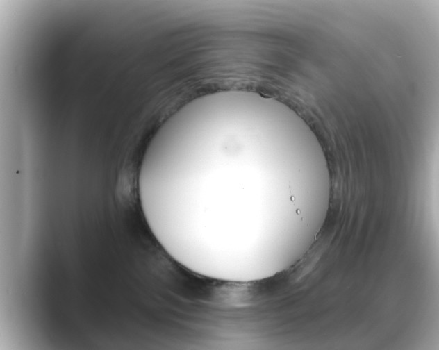 X0000089680138200706210821