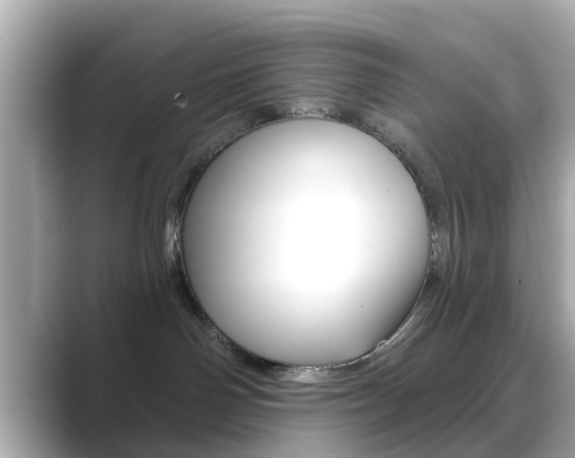 X0000089680142200706210821