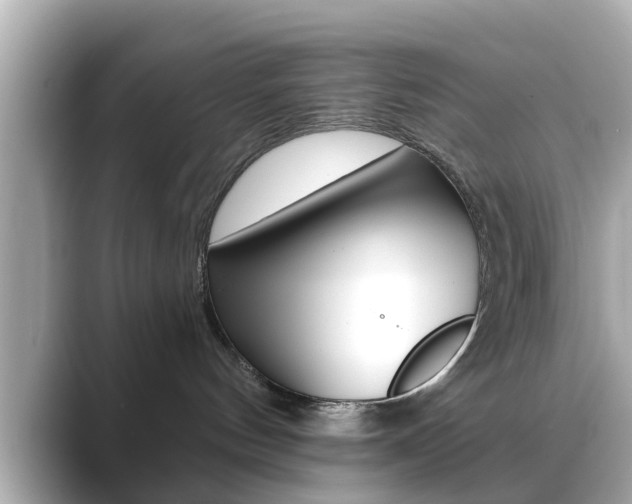 X0000089680144200706210821