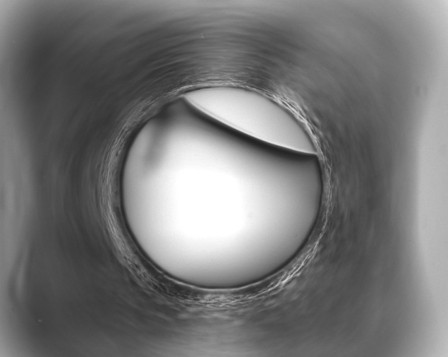 X0000089680145200706210821
