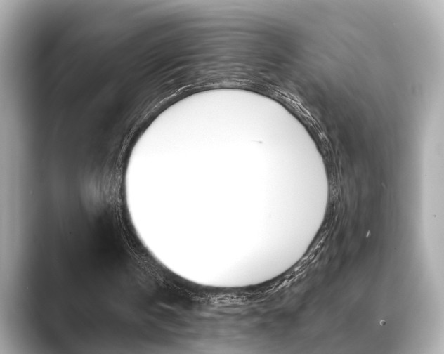 X0000089680146200706210821