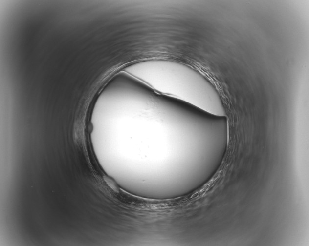 X0000089680147200706210821