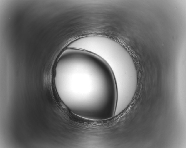 X0000089680148200706210821
