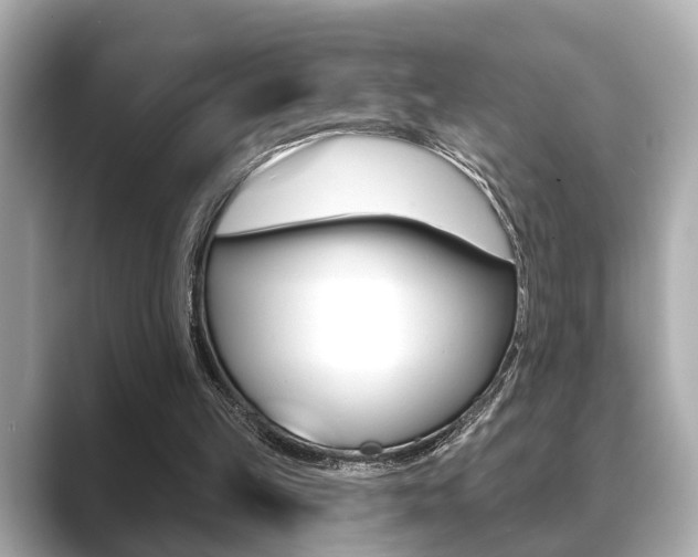 X0000089680149200706210821
