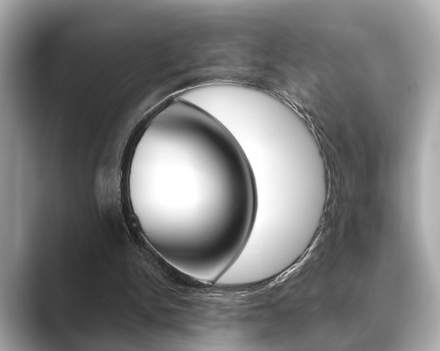 X0000089680150200706210821