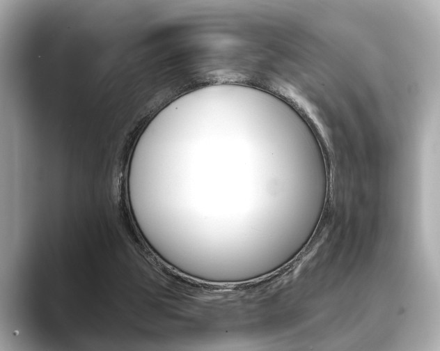 X0000089680153200706210821