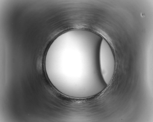 X0000089680155200706210821