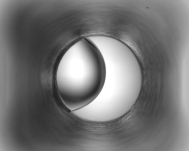 X0000089680156200706210821