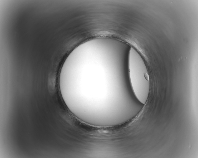 X0000089680159200706210821